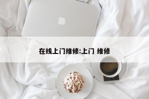 在线上门维修:上门 维修